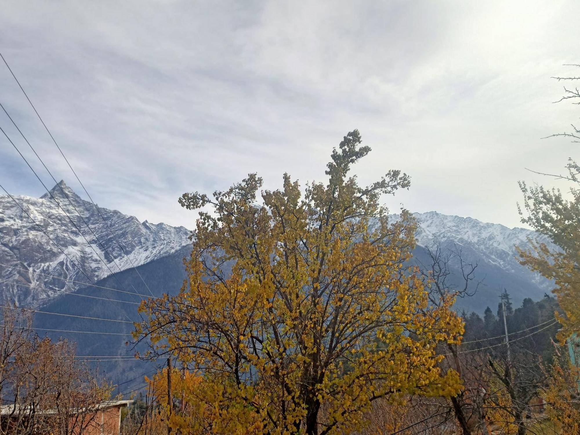 The Shudarang Inn Калпа Екстер'єр фото